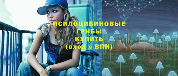 трава Аркадак