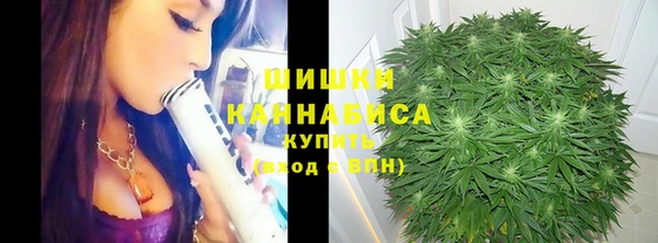 трава Аркадак